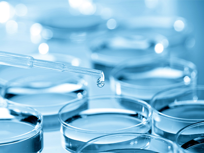 Department of Quality Management