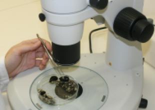 Biological research of the marine environment Biological research of the marine environment