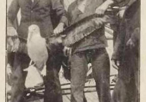 Lw&oacute;w Crosses the Atlantic