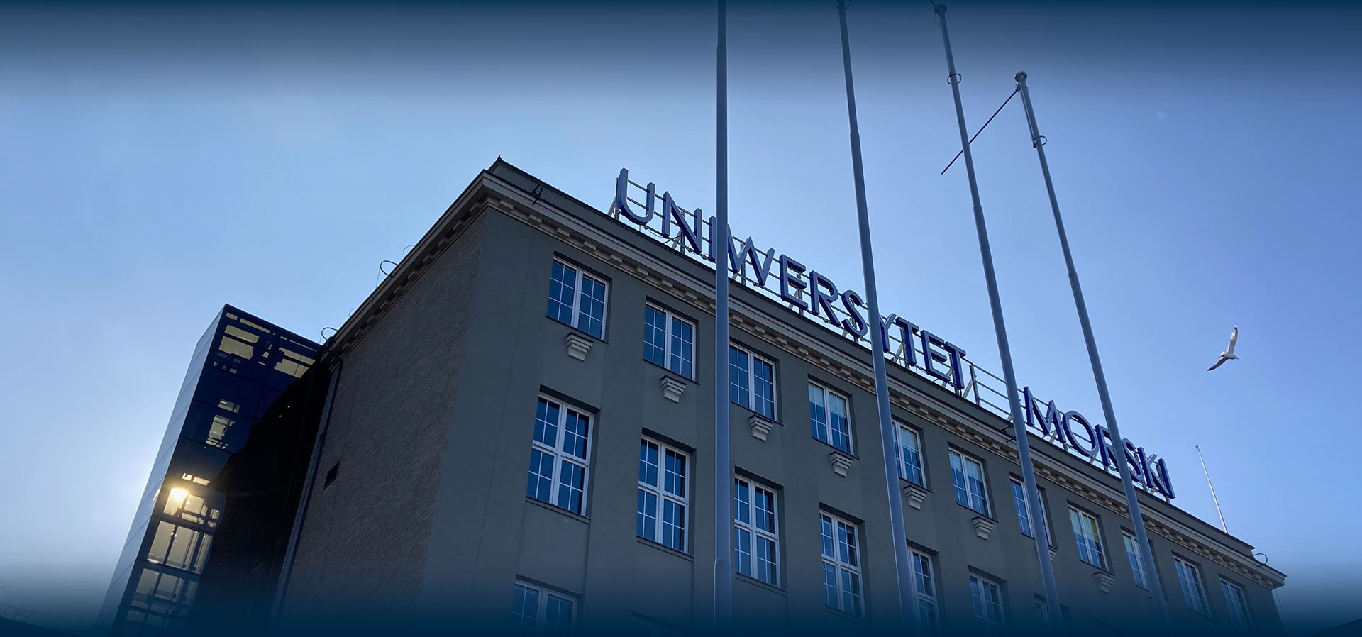 Main screen background