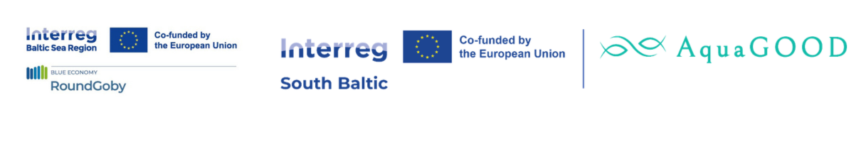 Logotypy projektowe
