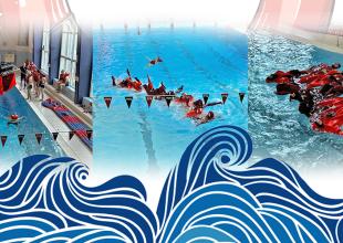 Fragment plakatu promującego wydarzenie Echa Heweliusza