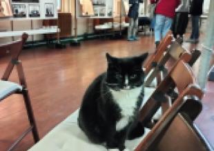 Fela z Białej Fregaty, obecnie. Fot. J. Stasiak