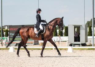 fot. Justyna Bambynek