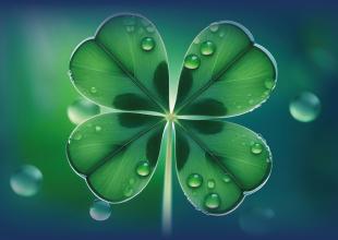 Powodzenia na maturze