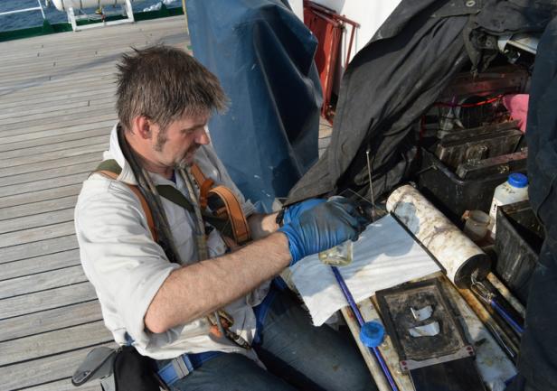 fot. Tomasz Maracewicz (AMG)