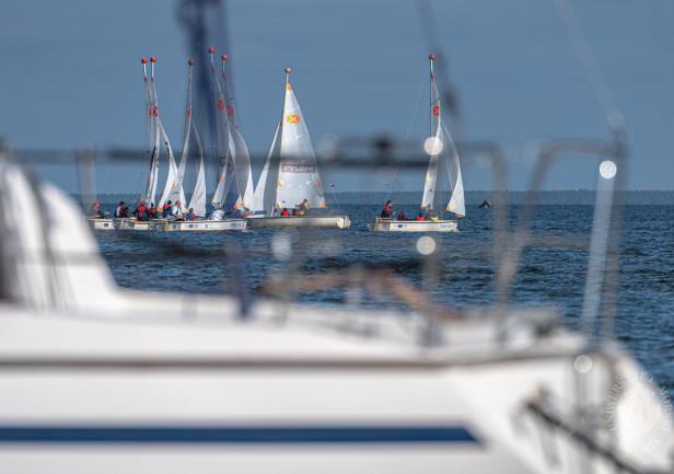 fot. Piotr Lewandowski