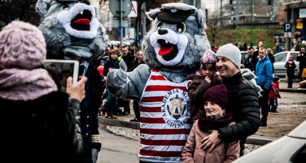 Wilki morskie, fot. Kamil Dopke Wilki morskie, fot. Kamil Dopke